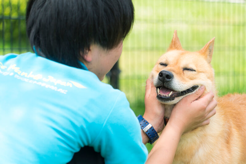 社会貢献としての法人寄付と保護犬支援:FJホールディングス様 2 mission 03