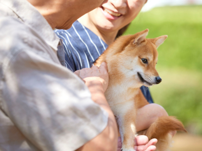 b78e37391134ca5a8fe27af7f4c7f6ad