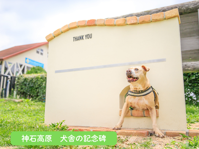 1b55443dff0e46596e2c29b9b11936c9