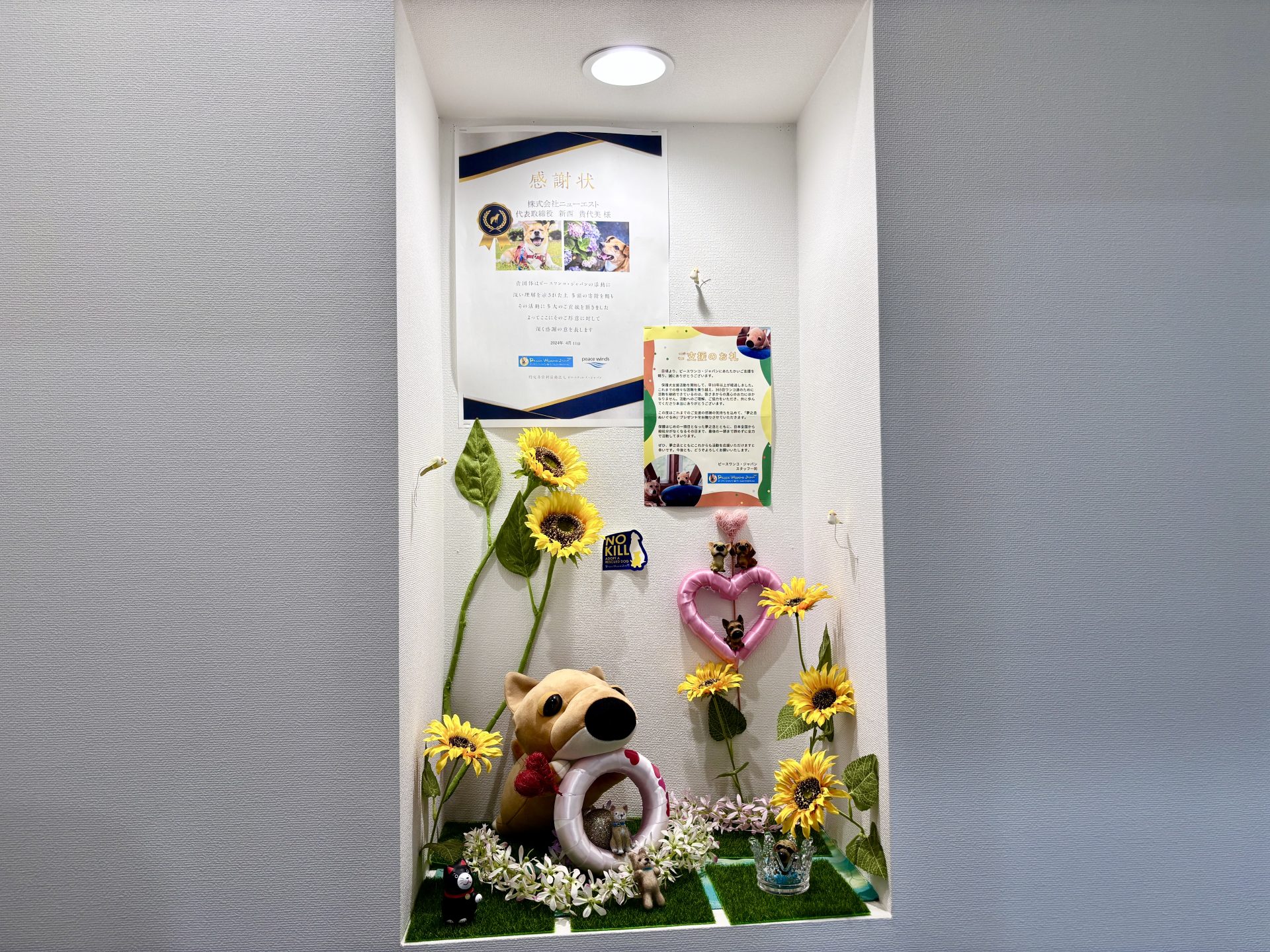 ピースワンコへの法人寄付で「殺処分ゼロに貢献」:ニューエスト様 4 IMG 3531
