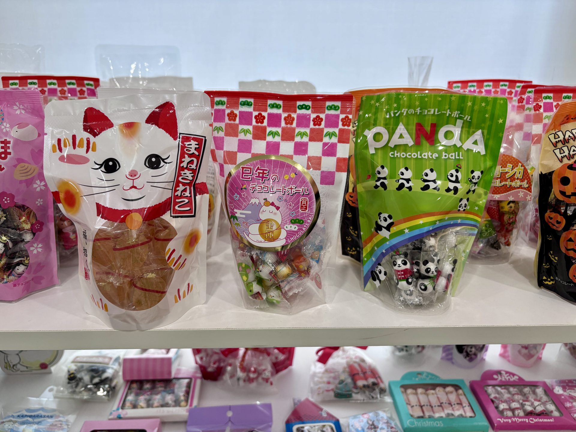 ピースワンコへの法人寄付で「殺処分ゼロに貢献」:ニューエスト様 6 IMG 3538