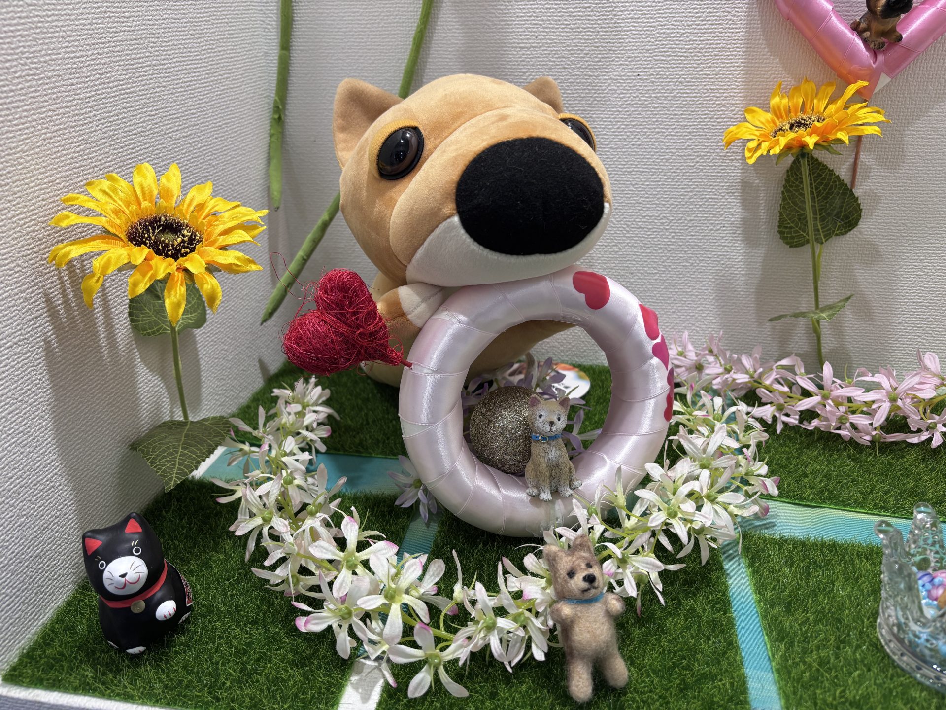 ピースワンコへの法人寄付で「殺処分ゼロに貢献」:ニューエスト様 5 IMG 3532