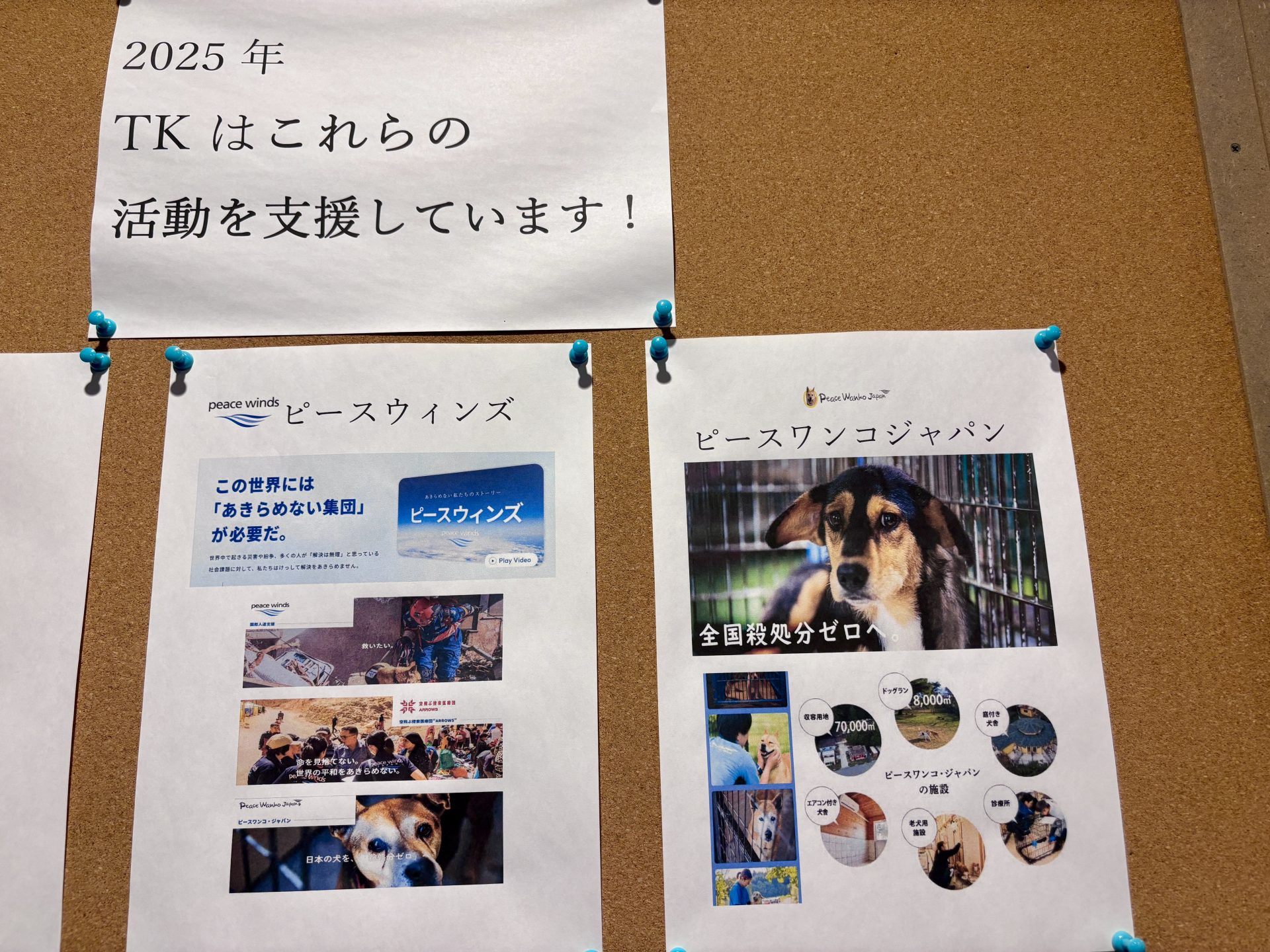 人と動物に寄り添う継続的な法人寄付:TK様 3 IMG 3588